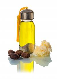 Shea oil